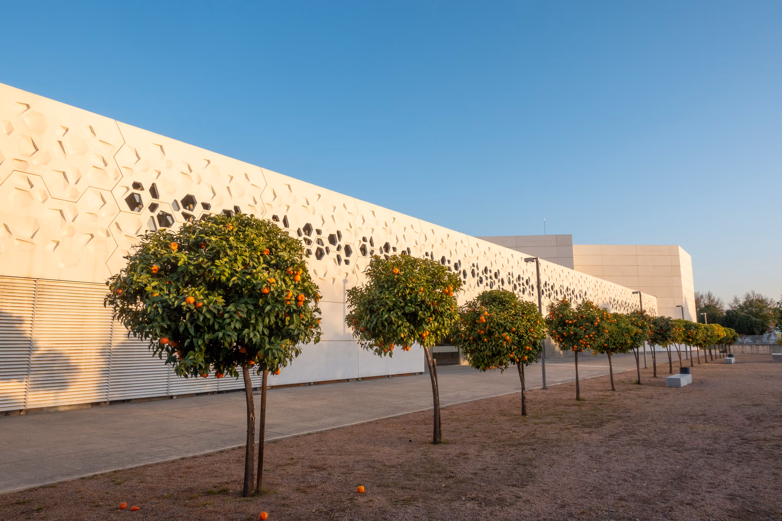 Andalusian Centre for Contemporary Creation (C3A)