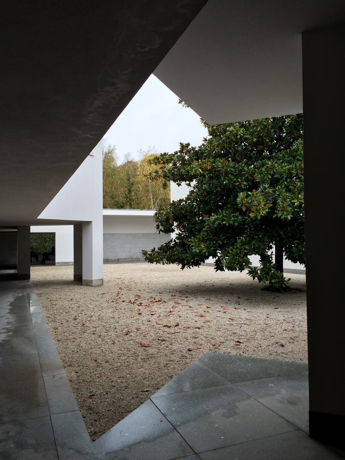 Serralves Museum of Contemporary Art — Another angle 1