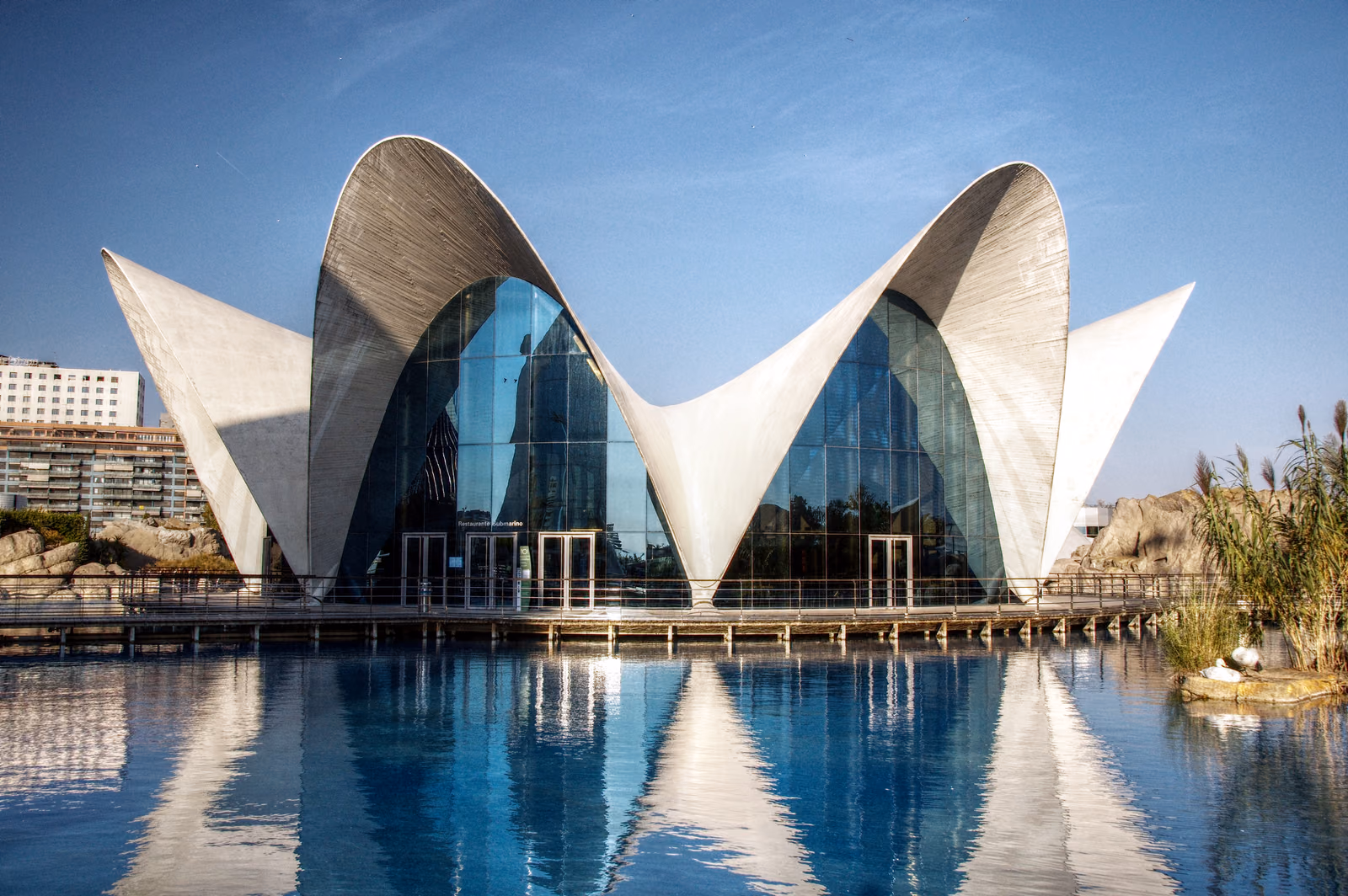 L'Oceanogràfic