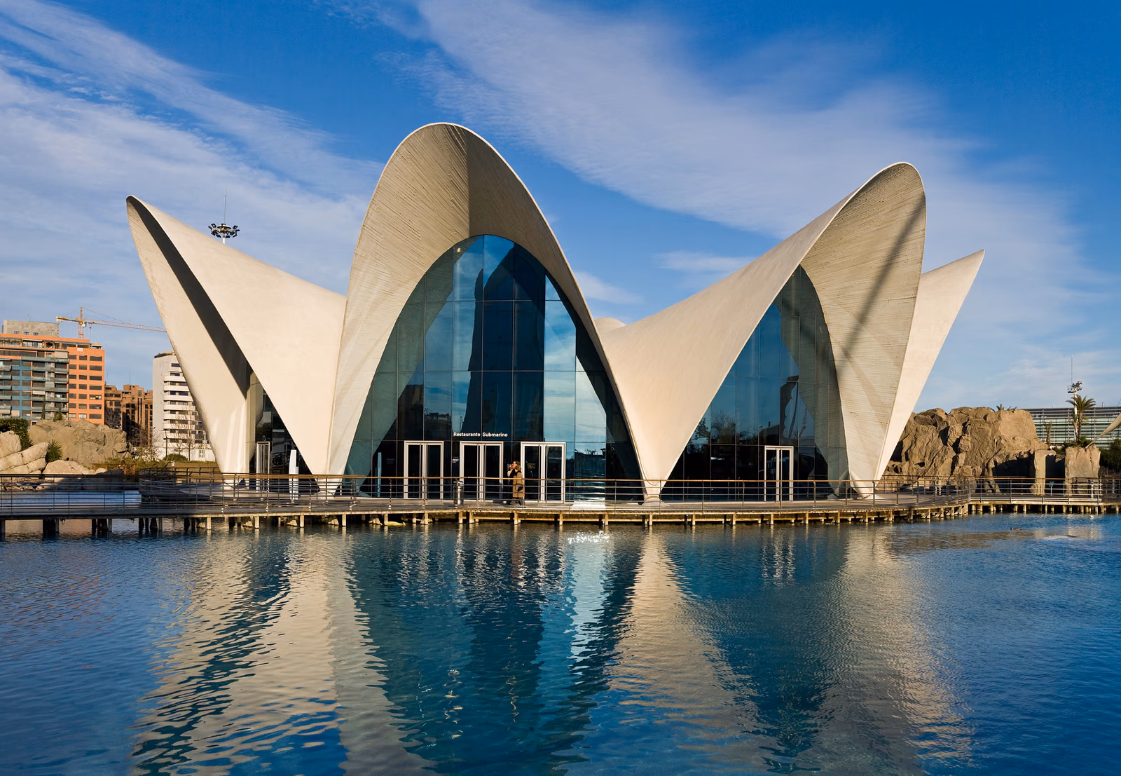 L'Oceanogràfic — Another angle 1